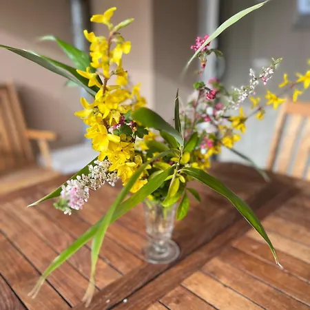 Confort Au Coeur Du Parc Livradois Forez *