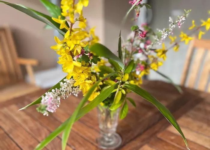 Confort Au Coeur Du Parc Livradois Forez *