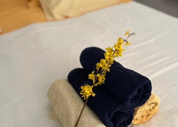 Appartement Confort Au Coeur Du Parc Livradois Forez Cunlhat